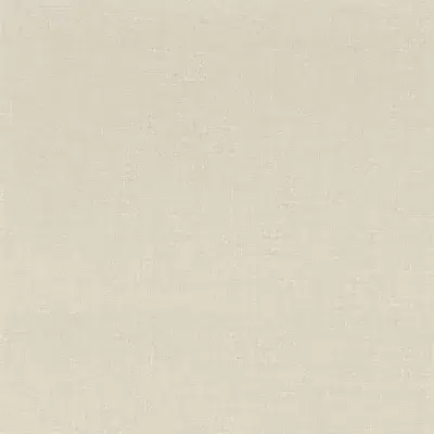 Papel pintado liso de color gris Lienzo 76332344