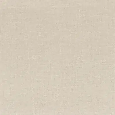 Papel pintado liso de color gris Lienzo 76332548