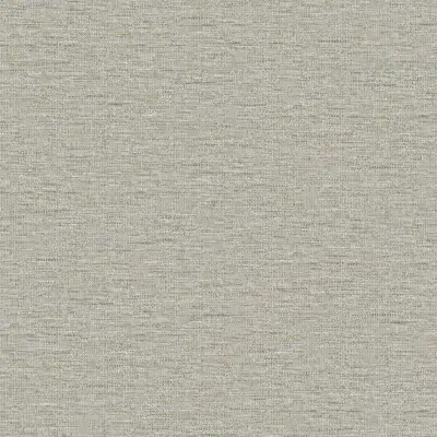 Papel pintado liso en color gris Temple CL70408