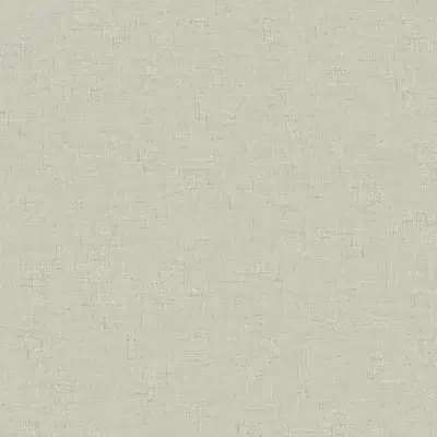 Papel pintado liso en color gris Theodore CL70508