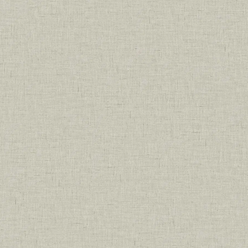 Papel pintado liso en color gris Theodore CL70508