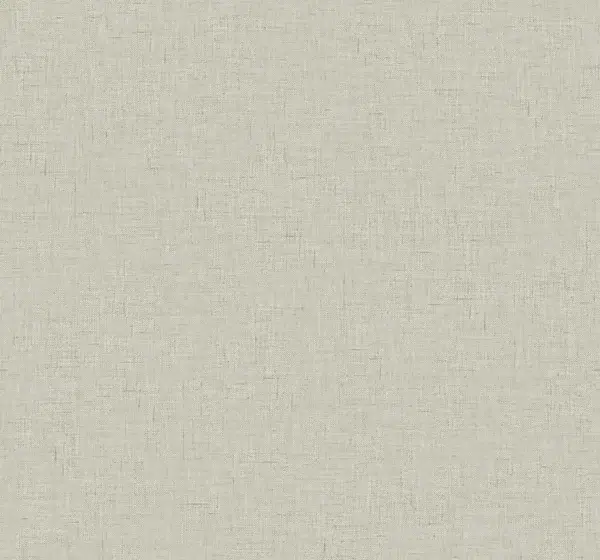 Papel pintado liso en color gris Theodore CL70508