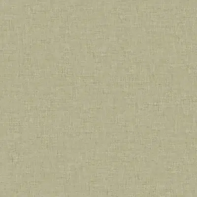 Papel pintado liso en color gris Theodore CL70535