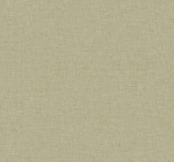 Papel pintado liso en color gris Theodore CL70535