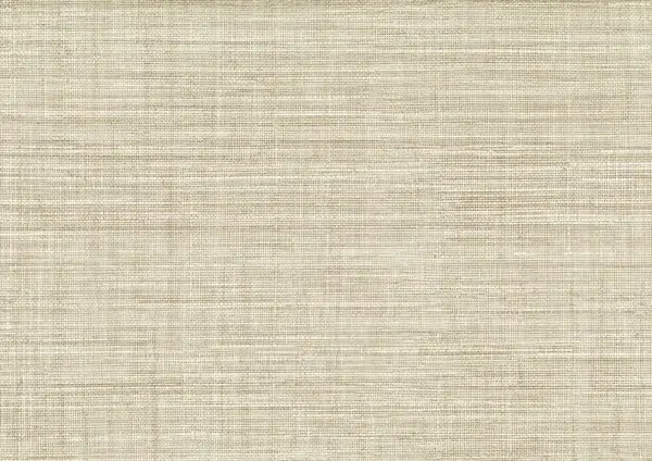 Papel pintado de símil fibras naturales en color beige Mapari 25871