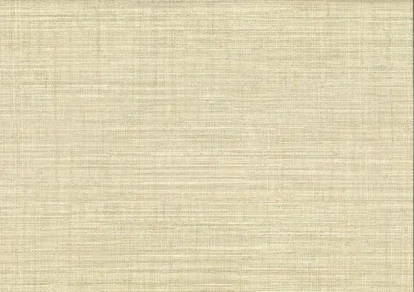 Papel pintado de símil fibras naturales en color beige Mapari 25872