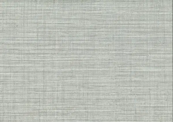 Papel pintado de símil fibras naturales en color gris Mapari 25873
