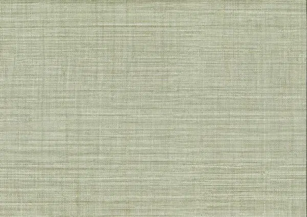 Papel pintado de símil fibras naturales en color verde Mapari 25874