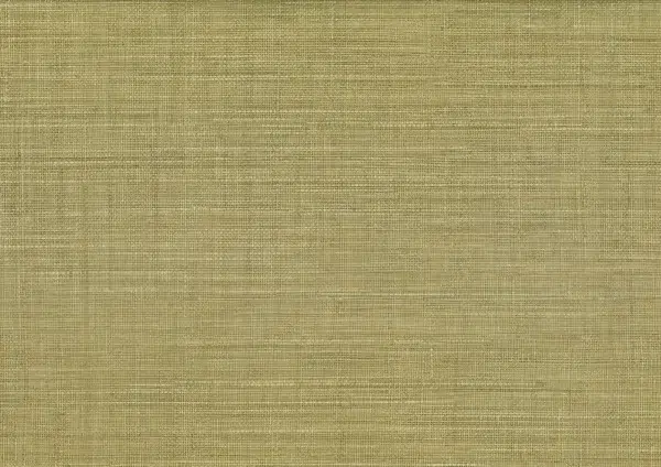 Papel pintado de símil fibras naturales en color verde Mapari 25875