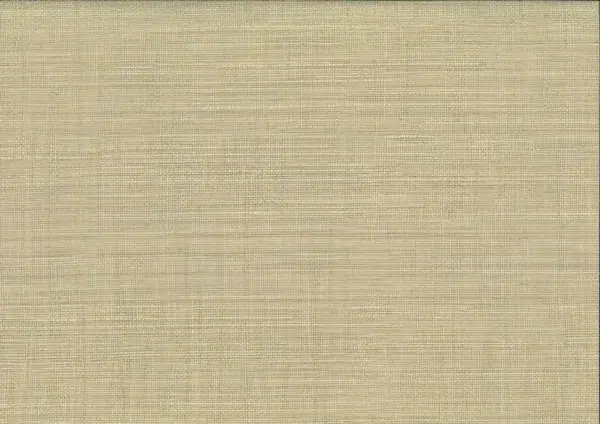 Papel pintado de símil fibras naturales en color verde Mapari 25876