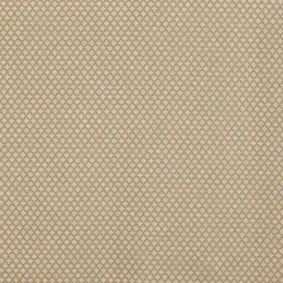 Tela de trellis en color beige Pico Arena TPICARE