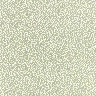 Papel pintado de coral en color verde Junie W476/06